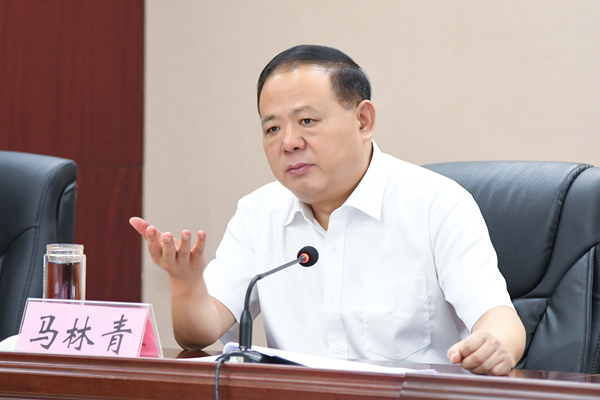 省政府食安辦主任、省市場(chǎng)監(jiān)管局書記馬林青講話